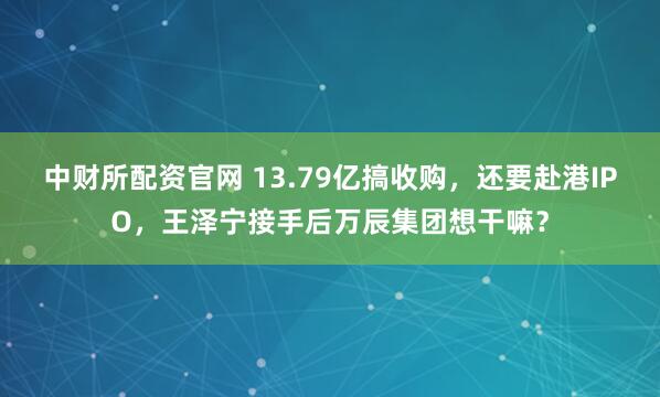 中财所配资官网 13.79亿搞收购，还要赴港IPO，王泽宁接手后万辰集团想干嘛？