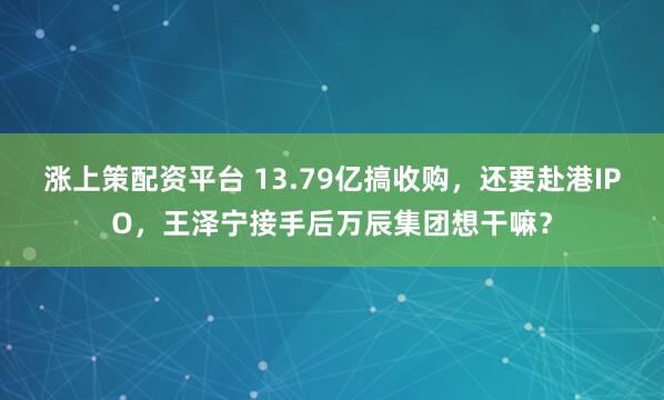 涨上策配资平台 13.79亿搞收购，还要赴港IPO，王泽宁接手后万辰集团想干嘛？