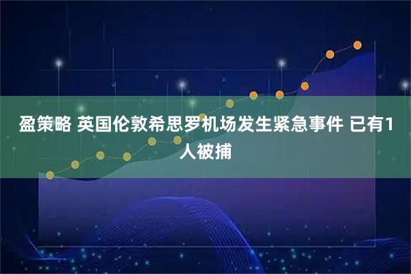 盈策略 英国伦敦希思罗机场发生紧急事件 已有1人被捕