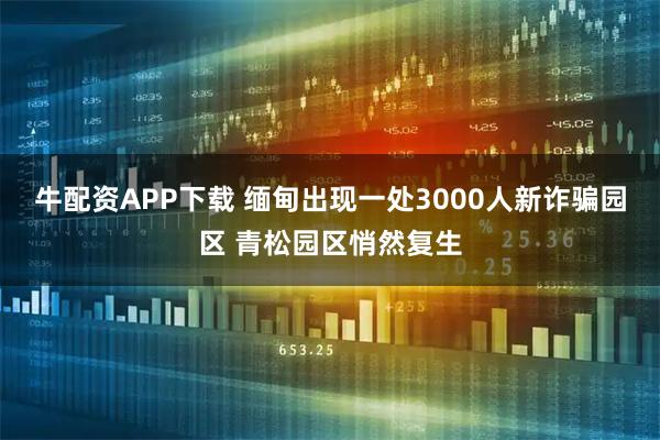 牛配资APP下载 缅甸出现一处3000人新诈骗园区 青松园区悄然复生